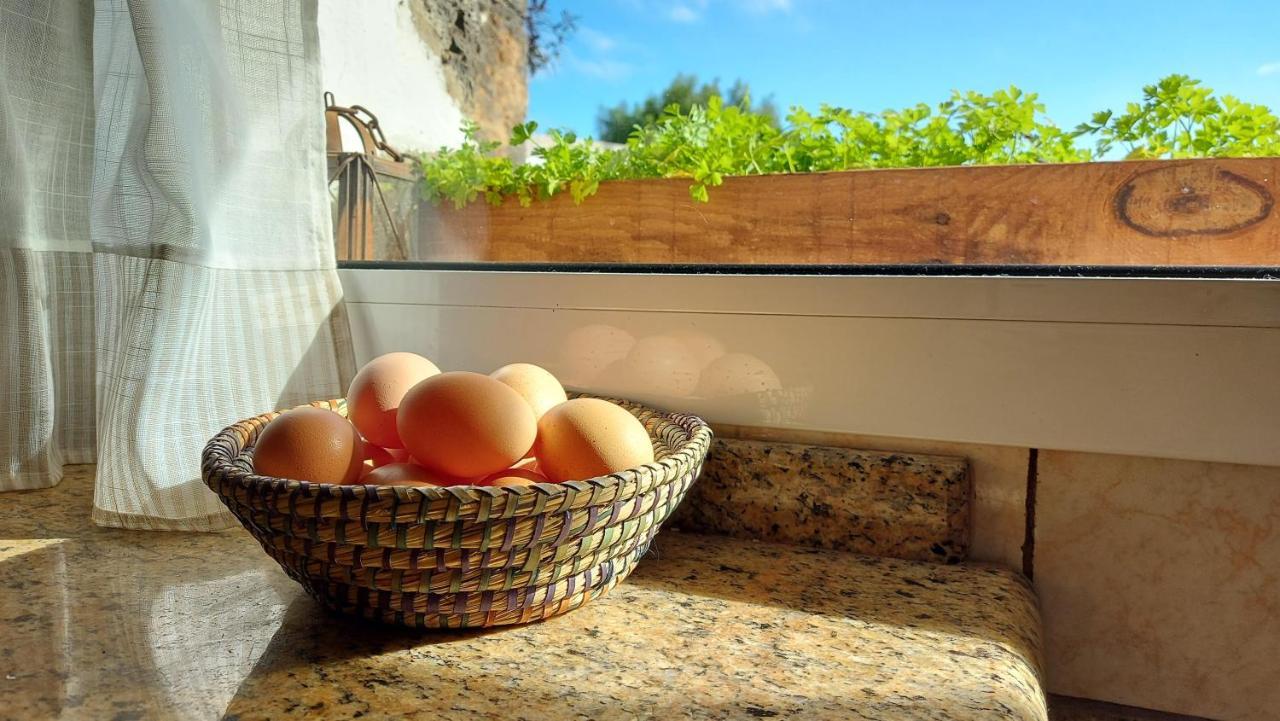 Casa Natura Ainhoa La Oliva Εξωτερικό φωτογραφία