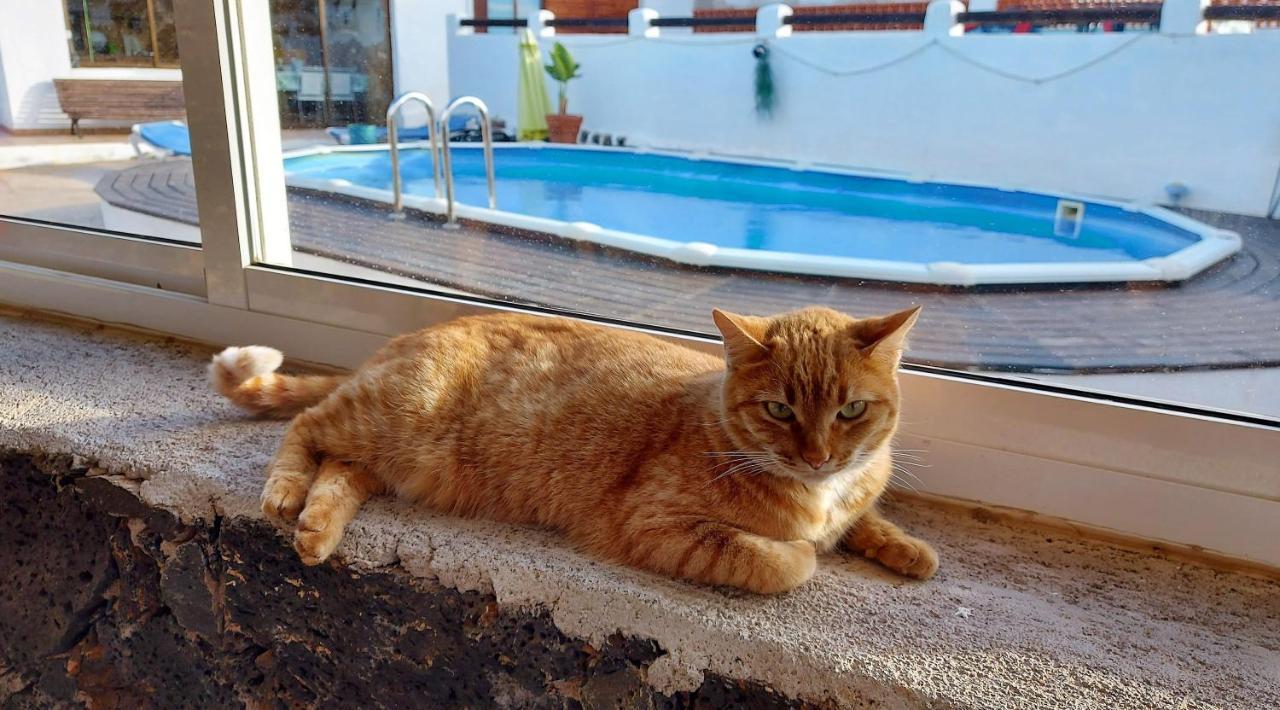 Casa Natura Ainhoa La Oliva Εξωτερικό φωτογραφία